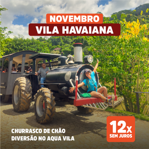 FEED SITE_NOVEMBRO_FAZENDA